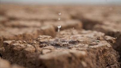 Áttörés jöhet a mezőgazdaságban: ez lehet a megoldás a vízhiány ellen