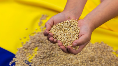 Fontos kijelentést tett az uniós biztos az ukrán gabonabehozatali tilalomról