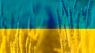 Kemény kijelentést tett a szlovák agrárminiszter az ukrán gabona ügyében