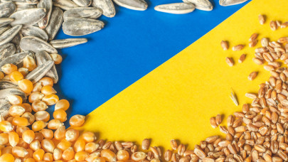 További uniós lépéseket sürgetnek a csehek az ukrán gabonaexport miatt