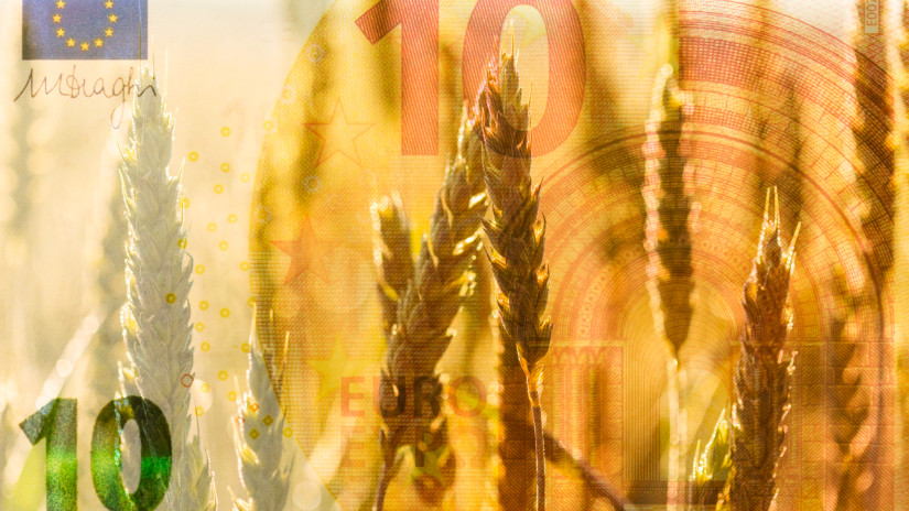 Nesze neked európai mezőgazdaság: megdöbbentő számok láttak napvilágot