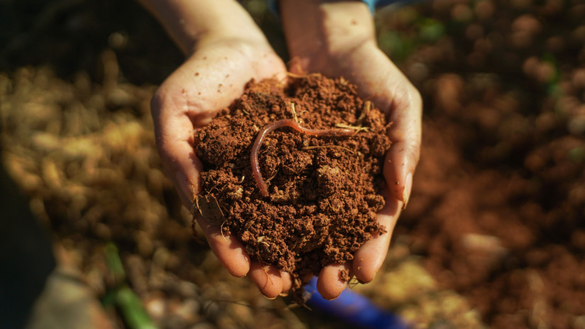 Így turbózzák fel a talajt az élelmes kertészek: ez tényleg működhet