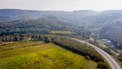 Hihetetlen, ami a magyar erdőkben történik: ezt biztosan sokan nem tudták