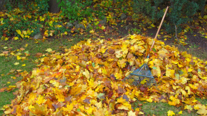 Itt a kertészek novemberi feladatlistája: ezeket a munkákat most kell elvégezned