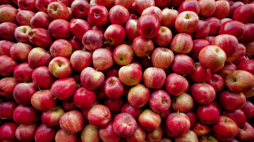 Nagyon belehúztak a francia termelők: felpörgött az almabiznisz az országban