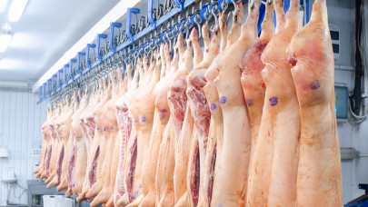 Aggasztó hírek érkeztek: mégis, mi történik a sertéshússal az EU-ban?