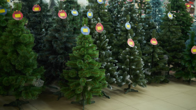 Ilyen fenyőfát vesz most karácsonyra sok magyar: tudhatnak valamit?