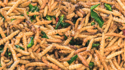 Letarolhatja a mezőgazdaságot a rovarfehérje-őrület: tényleg ezt kell ennünk?