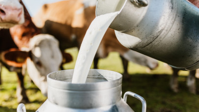 Csökken a tejár, de a termékeken nem mindig látszik