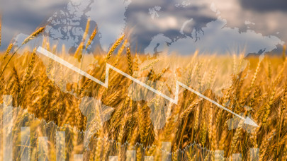 Nincs mese, cselekedni kell az ukrán mezőgazdasági termékek behozatal ellen