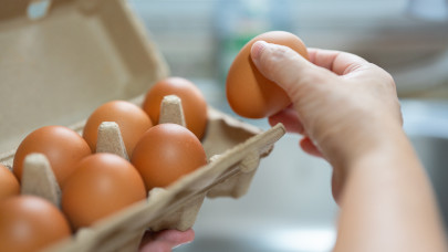Már Magyarországon is száműzik a ketreces tojást a boltokból?