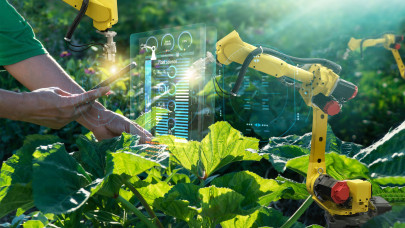Már a magyar agráriumban is jelen van a mesterséges intelligencia