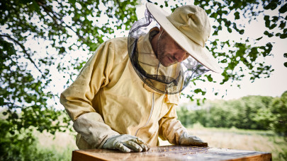 Itt van a nagy terv: ez várhat a méhészekre Magyarországon