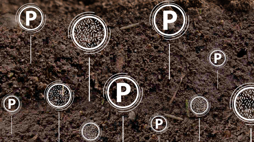 GeoP-Mobil – nálunk van a kulcs a talaja foszforkészletéhez
