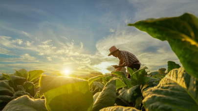 Indulnak az új ciklus agrárpályázatai – a szakértelem és tanácsadás évekre szóló előnyt hozhat