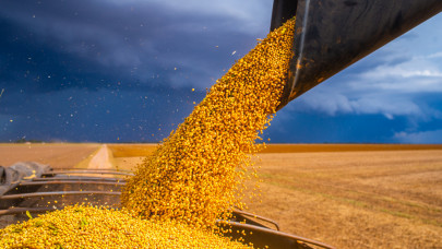 Ezt megérzi a gabonapiac: keresztbe tehetnek a két óriáscég terveinek