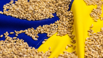 Súlyos döntést hozott az Európai Parlament az ukrán gabonaimportról