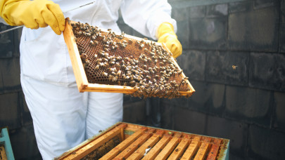 Nagy István: a méhészek fontos szereplői a magyar mezőgazdaságnak