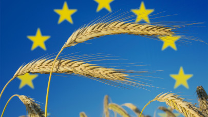 Az EU agrárbiztosa hálás a tüntető gazdáknak