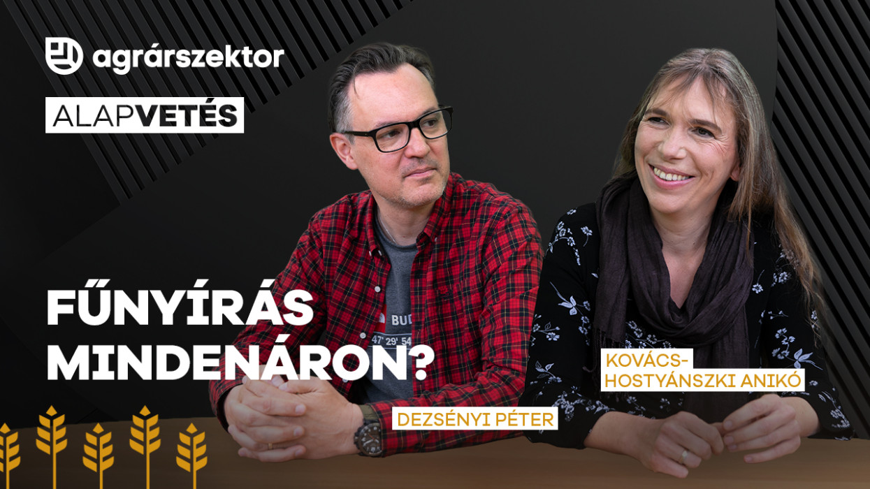 Fűnyírás mindenáron? Kényszeres kertrendezés helyett megéri kicsit lustának lenni